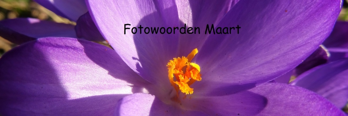 Uitdaging: Fotowoorden Maart 2019 | Naturefreak