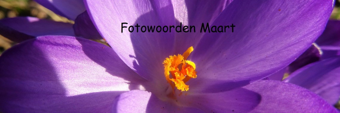 Uitdaging: Fotowoorden Maart 2021 | Naturefreak