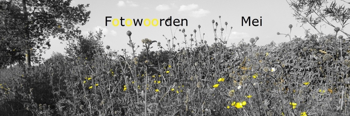 Uitdaging: Fotowoorden Mei 2020 | Naturefreak