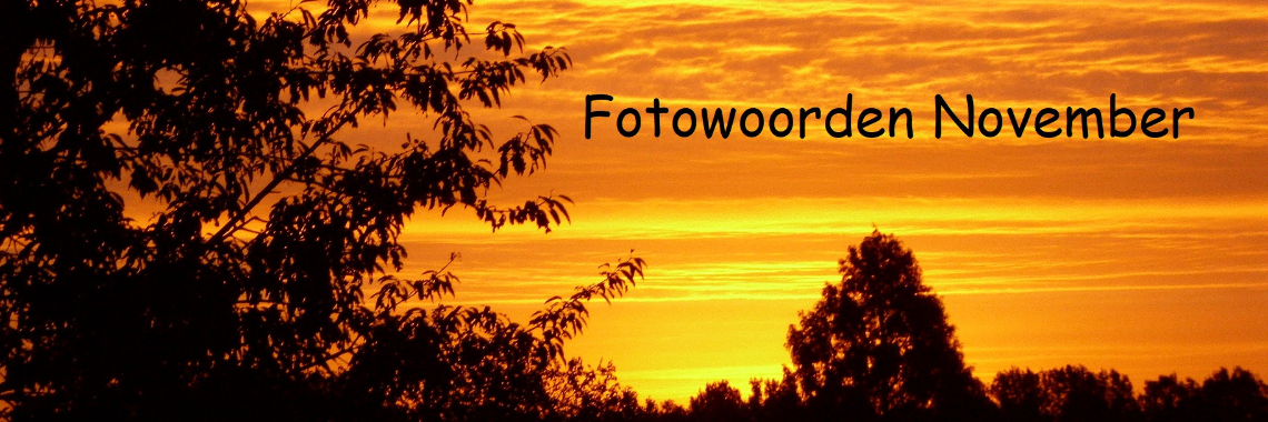 Uitdaging: Fotowoorden November 2021 | Naturefreak