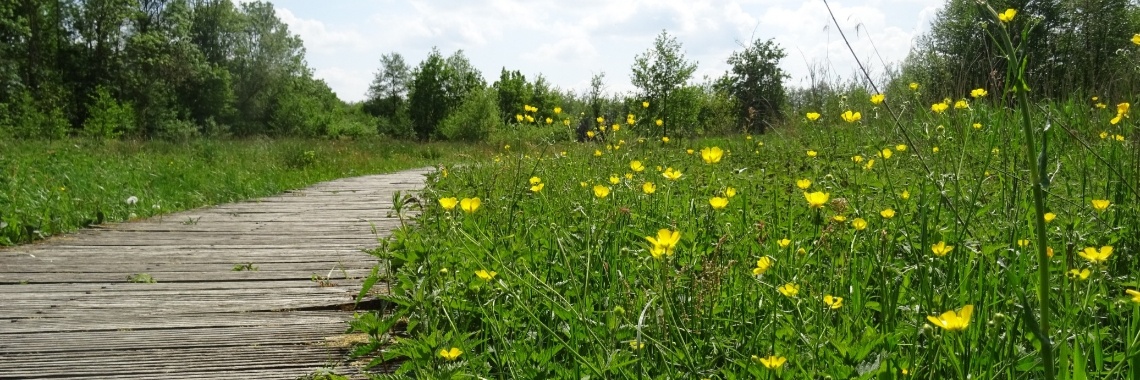 Hike Beekbergerwoud | Naturefreak