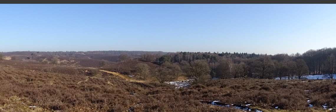 Wandeling Posbank | Naturefreak