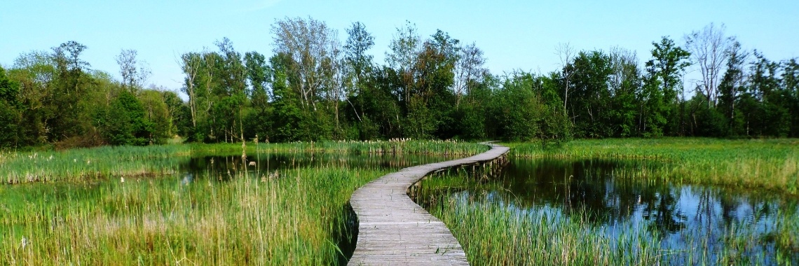 Zichtbaar | Naturefreak