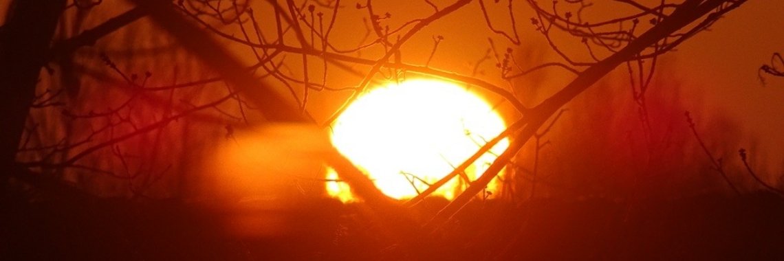 Zonsondergang in seconden | Naturefreak