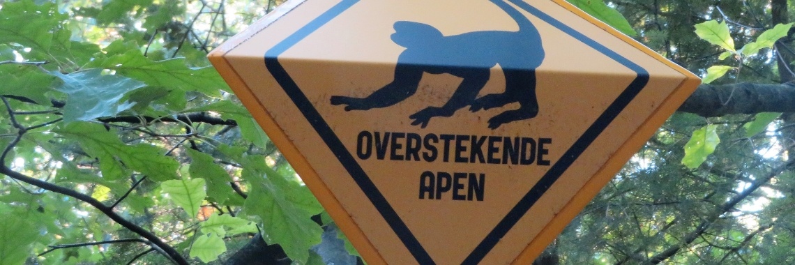 Apenheul: Witgezichtsaki | Naturefreak