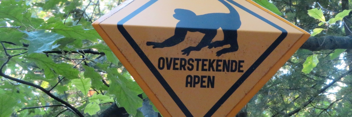 Apenheul: Manteltamarin | Naturefreak