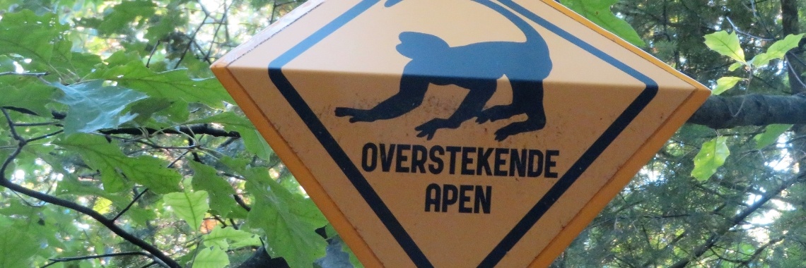 Apenheul: Ringstaartmaki | Naturefreak