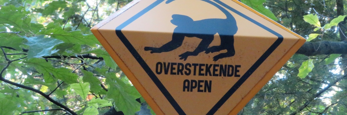 Apenheul: Colombiaanse slingeraap | Naturefreak