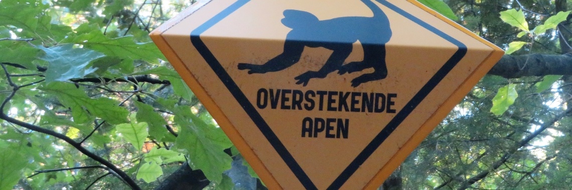 Apenheul: Orang-oetan | Naturefreak
