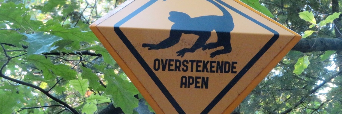 Apenheul: Javaanse langoer | Naturefreak