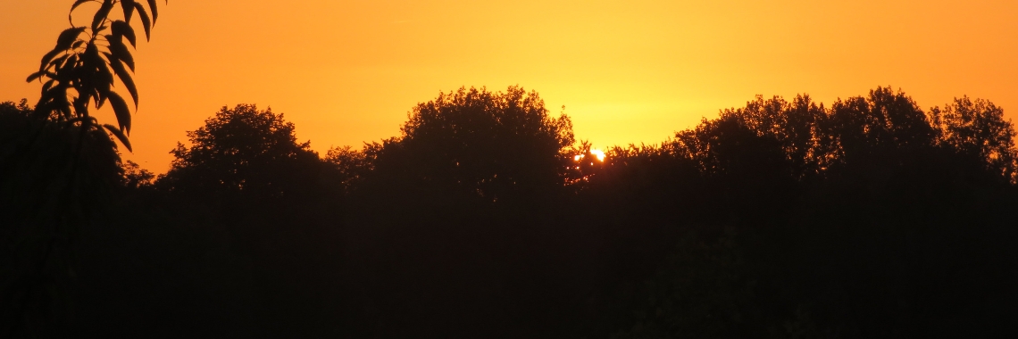 Zonsopkomst van minuut tot minuut | Naturefreak