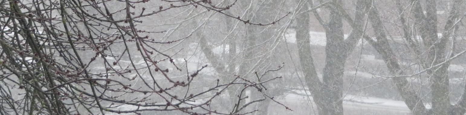 Een witte wereld | Naturefreak