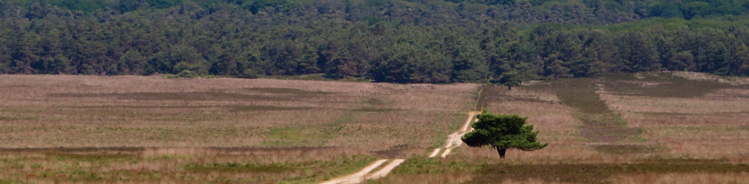 Wandeling Asselsche Heide | Naturefreak