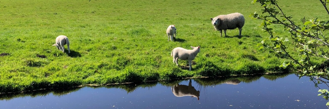Fietsen rond Boskoop | Millieballon