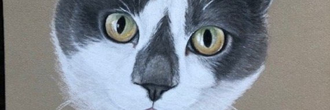 Hier is Sassy | Millieballon