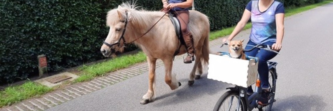 Is it a cap? #yoorsdecember #pets | Millieballon