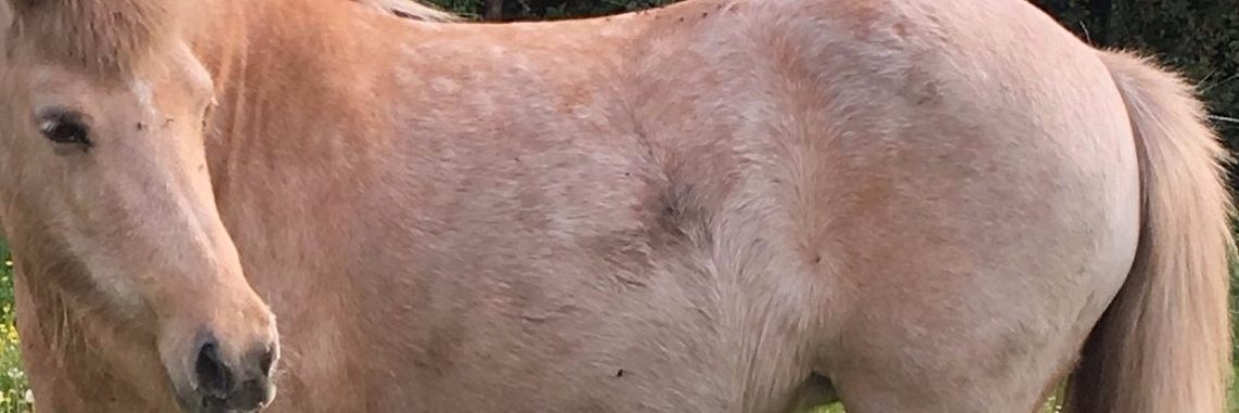 Je zal er maar last van hebben. | Millieballon