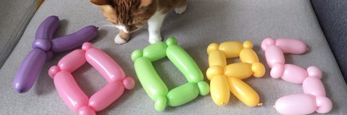 Overzicht uitdaging Yoors titelfoto's | Millieballon