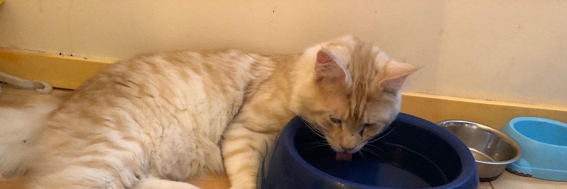 Ik sta niet op | Millieballon