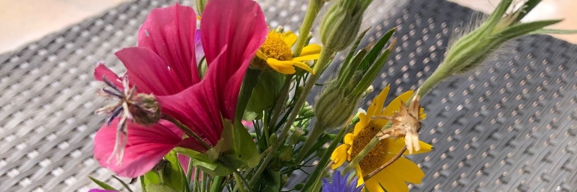 Iets kleins waar je blij van wordt | Millieballon