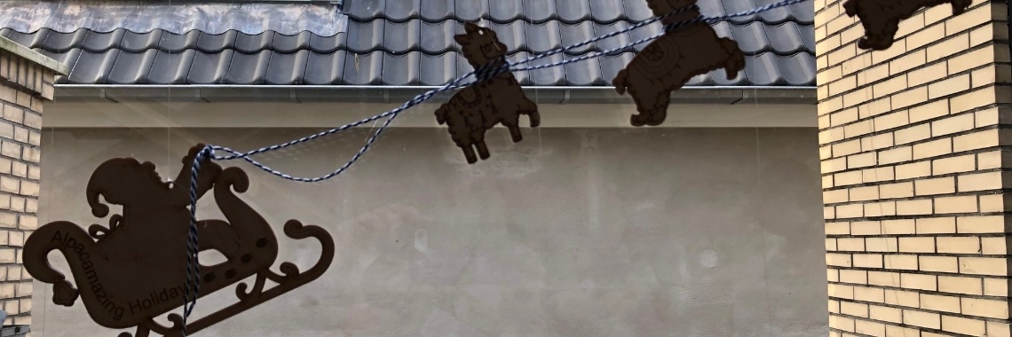 Alpacamazing holidays | Millieballon