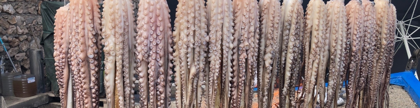 Catch of the day | Millieballon