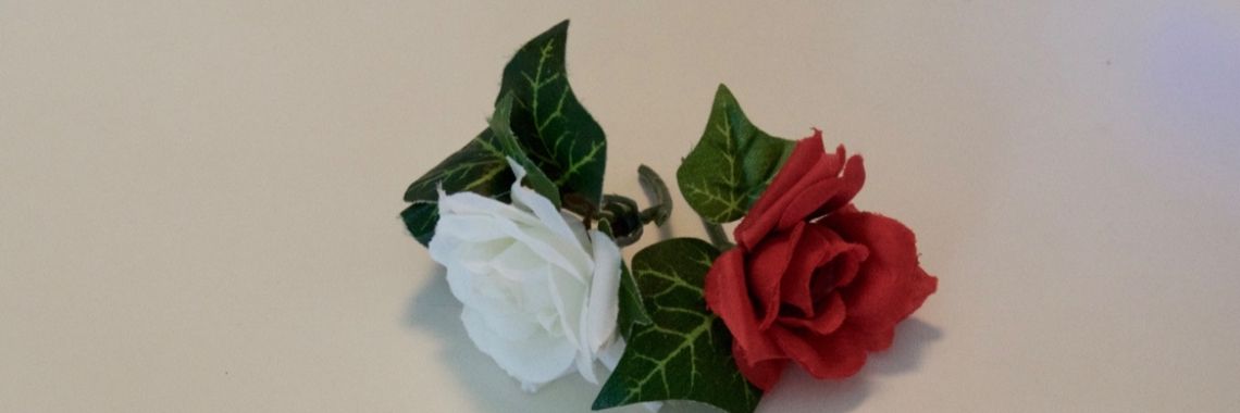 Gastroscopie,   wie heeft hier ervaring mee.... | Riasinspiratie