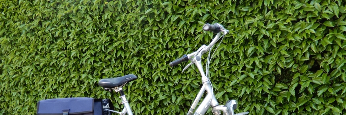 Wel of Niet een E-bike voor jou | Riasinspiratie