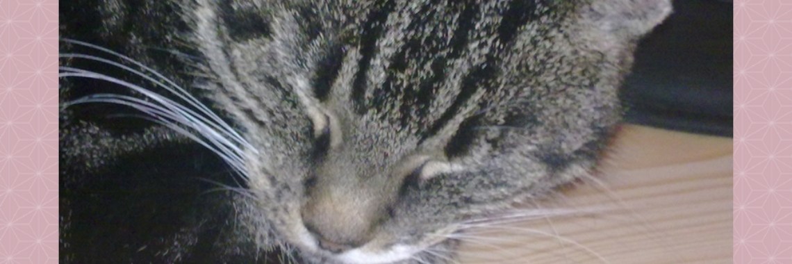 Wijze woorden van Poekie: Leef bij de dag! | Ellen Lichteveld