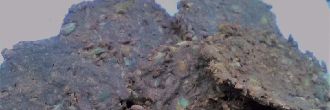 FrancicaKookt Paleo "Roggebrood" crackers #glutenvrij #lactosevrij  #koemelkvrij #vegetarisch #koolhydraatarm | FranciscaKookt