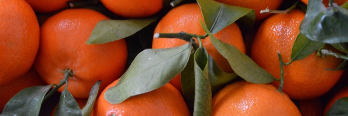 Yoors Sinterklaas Challenge : nostalgie | mrgrt1804