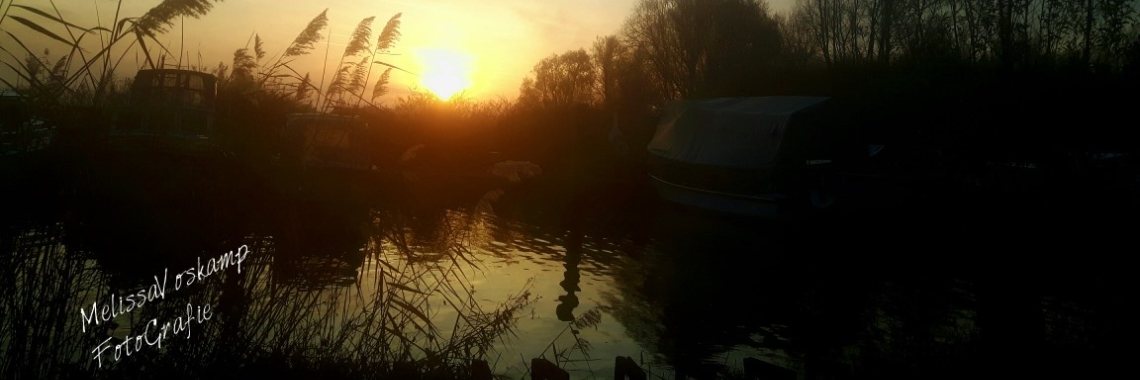 FotoGrafie | melisssa