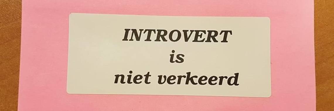 10 misverstanden over introverten | Yvonne35
