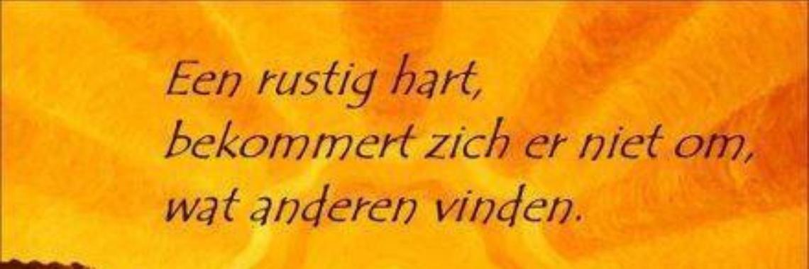 Ben jij in staat je eigen rust te verwezenlijken...? | Mich Peters