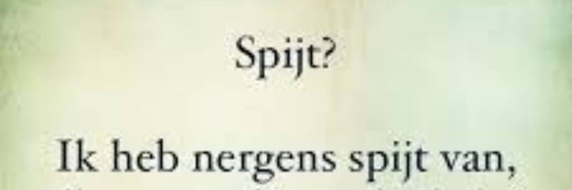 Heb jij er achteraf wel eens spijt van ...? | Mich Peters