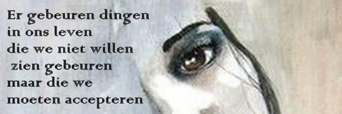 Hoe ga jij met acceptatie om...? | Mich Peters