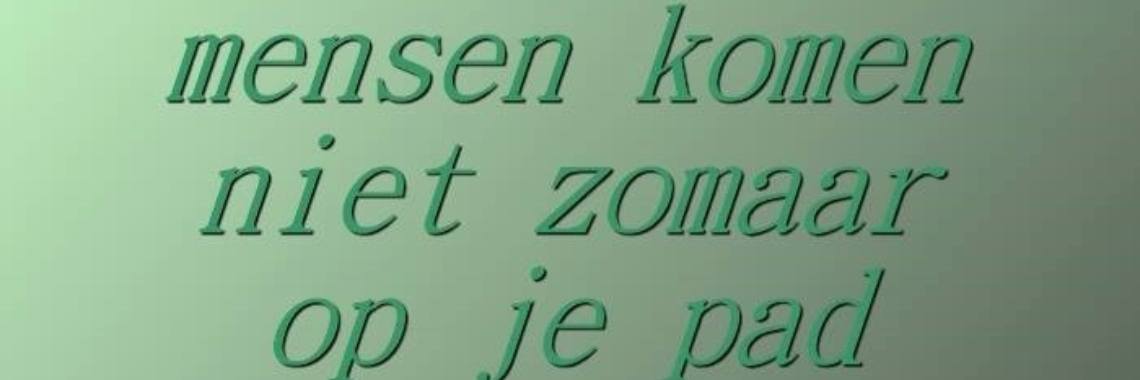 Kun jij vertellen waarom jij op mijn pad bent gekomen...? | Mich Peters
