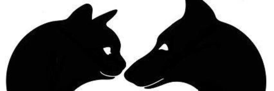 Gratis Dierenvoeding Te Wilrijk Bij Wilfree Poezewoef | Corry van den Brande