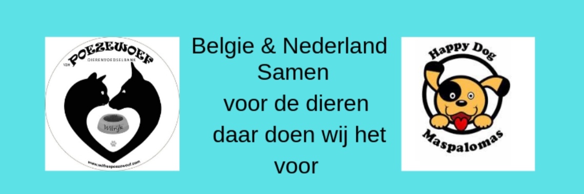 Happy Dog maspalomas - Nederland op bezoek bij Poezewoef Wilrijk - Belgie | Corry van den Brande