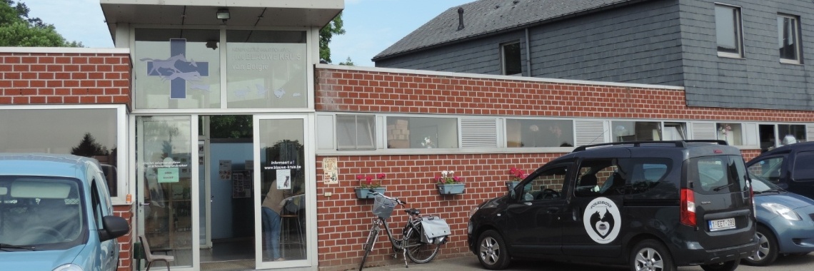 Poezewoef op bezoek bij het Blauwe kruis - Wommelgem | Corry van den Brande