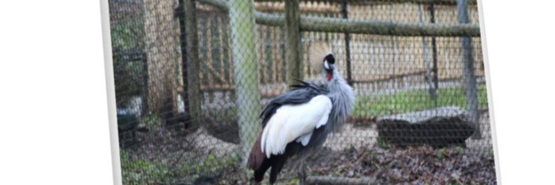 Verkopen op Redbubble | Michelle IRL