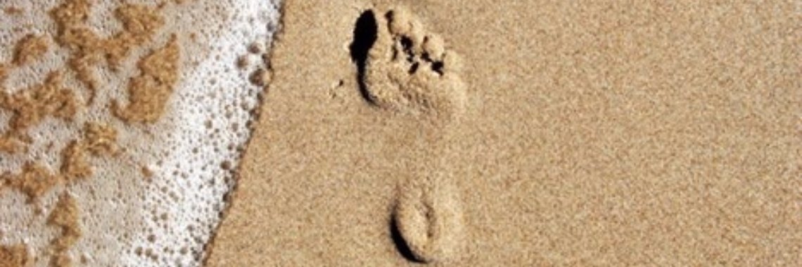 De Gulden Snede: de Kosmische Vrouw | Beyond Healing Herd