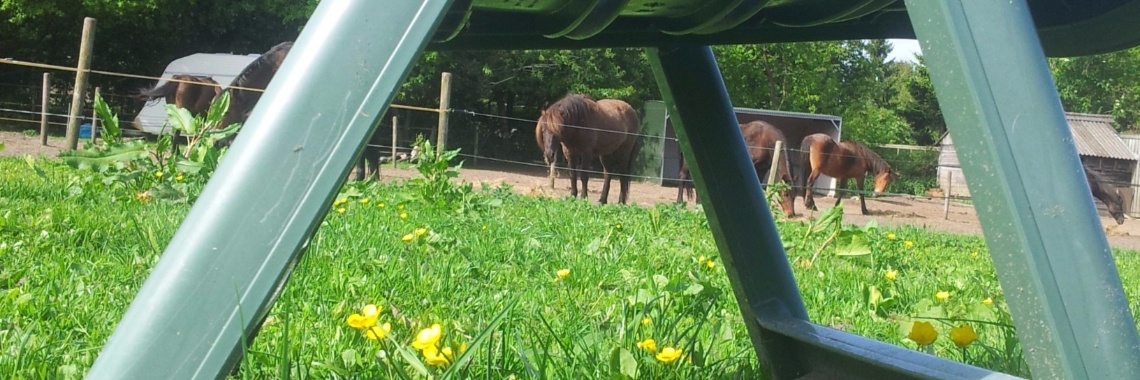 Energievampiers | Beyond Healing Herd