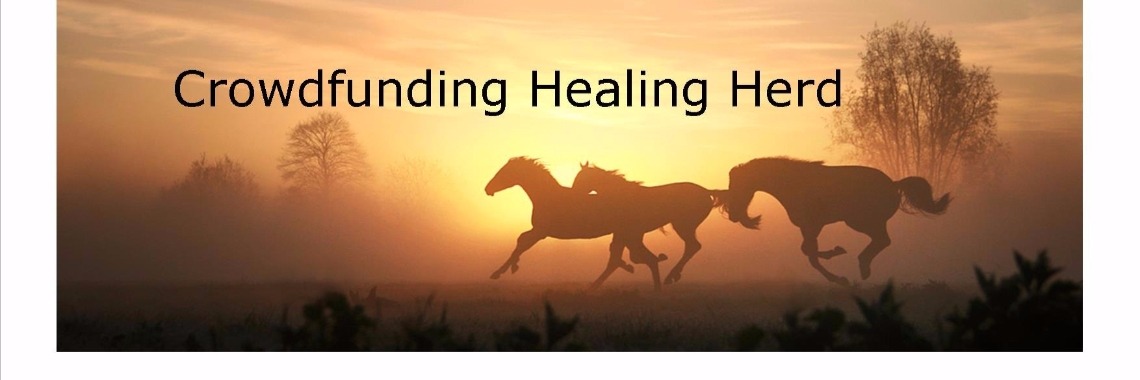 Na regen komt zonneschijn | Beyond Healing Herd