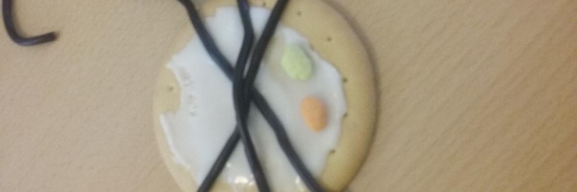 Spinnetjes van koekjes en lekkers | xaartje