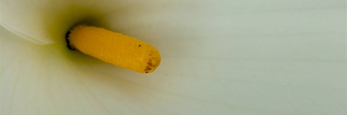 &de kleurige decembermaand | Grace&