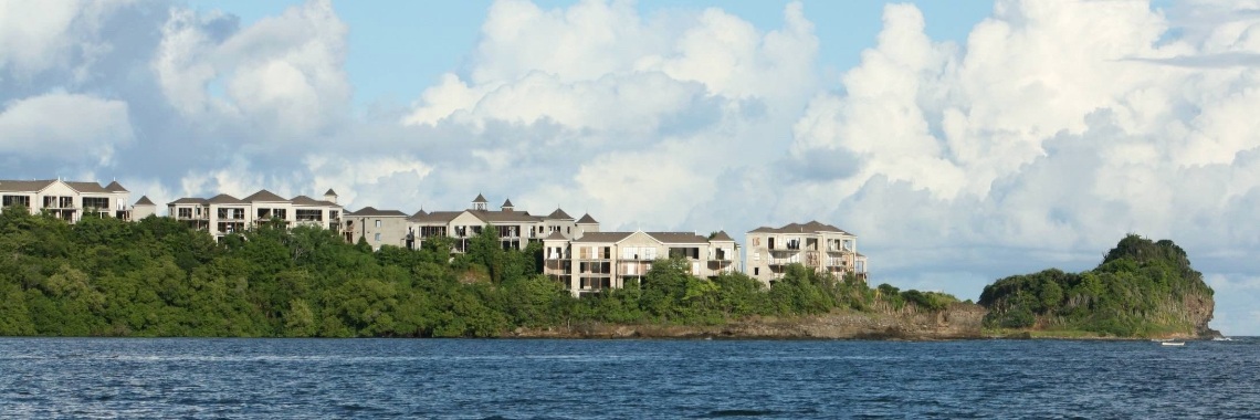 &St. Lucia's papegaaien en andere rare vogels | Grace&