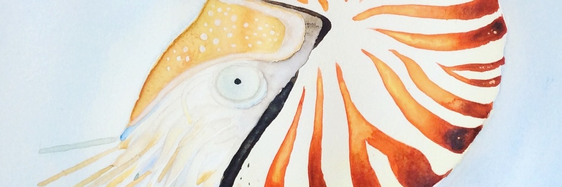 & the making of.... De Nautilus | Grace&