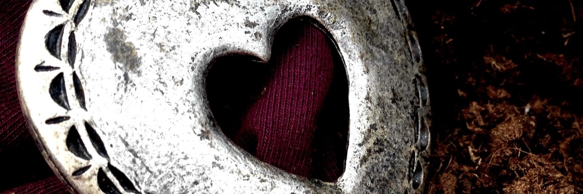 Hoe zou de wereld eruit zien als we allemaal ons hart gaan volgen? | Tessa Smits