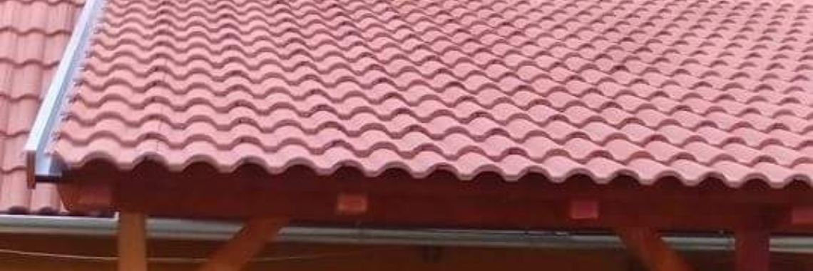 Ons huisje in Hongarije ( Het nieuwe Dak) | Anneke Smits